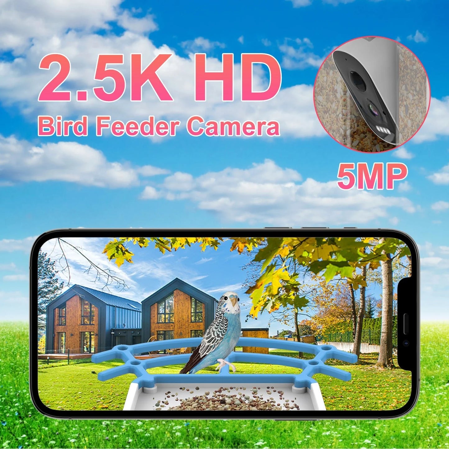 HEYBO Bird Recognition Solar Low Power Outdoor Smart Wild Bird Feeder Camera