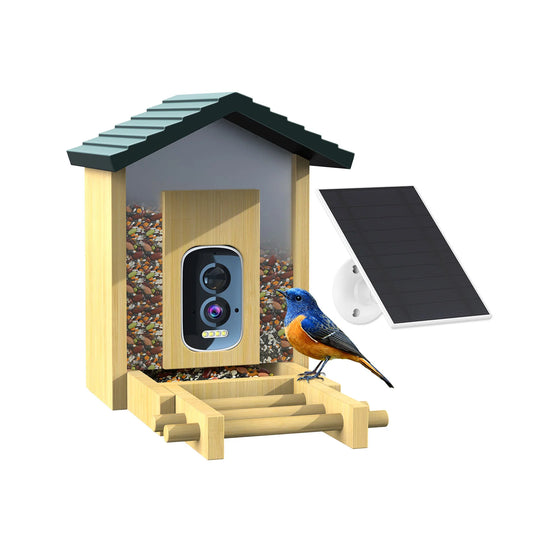 HEYBO Smart Bird Feeder Live View Wild Bird Watching Cam