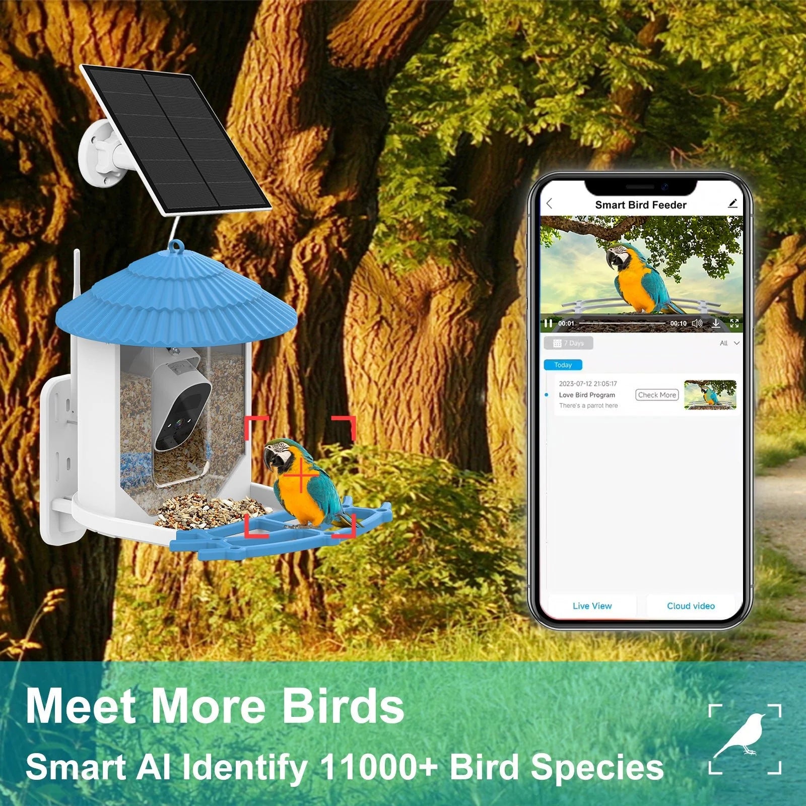 HEYBO Bird Recognition Solar Low Power Outdoor Smart Wild Bird Feeder Camera